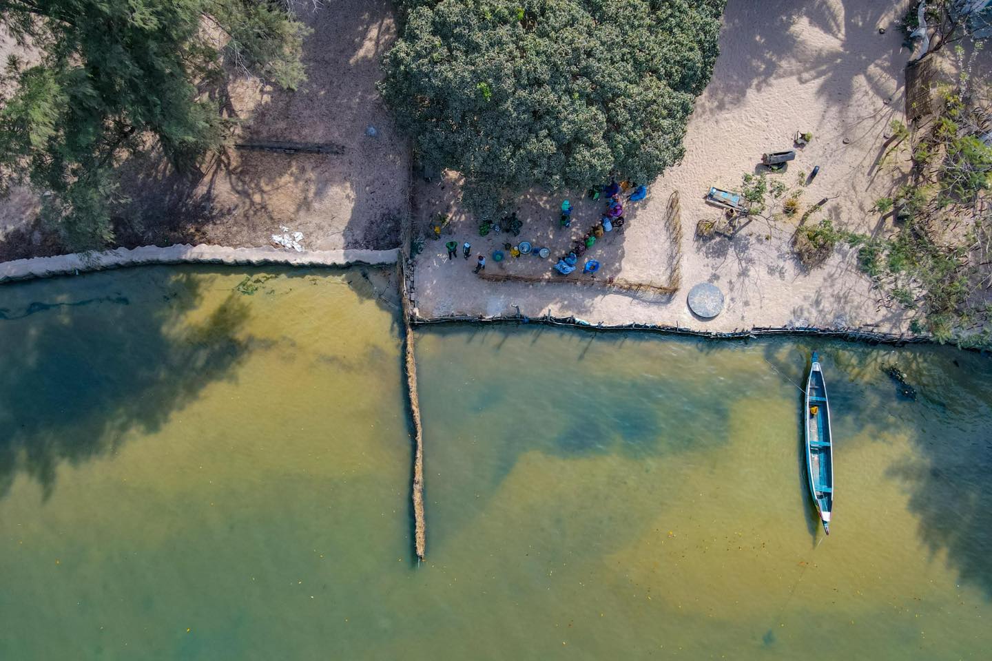 Changement Climatique